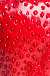 Similar image 7972521