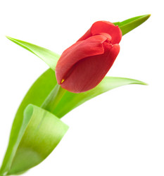 Similar image 7972525