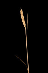 Similar image 7972529