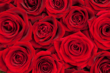 Similar image 7972537