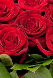 Similar image 7972538