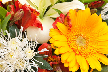 Similar image 7972539