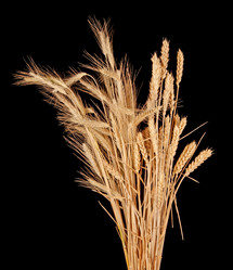 Similar image 7972541