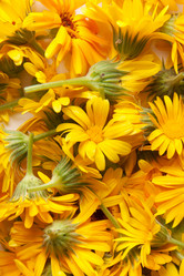 Similar image 7972542