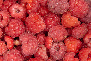 Similar image 7972543