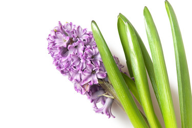 Similar image 7972544