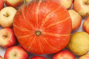 Similar image 7972545