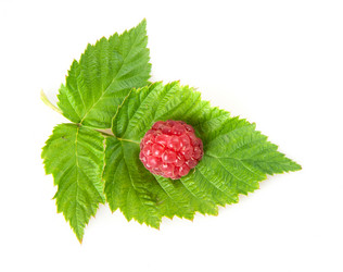 Similar image 7972547