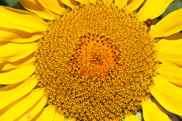 Similar image 7972551