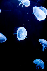 Similar image 7972552