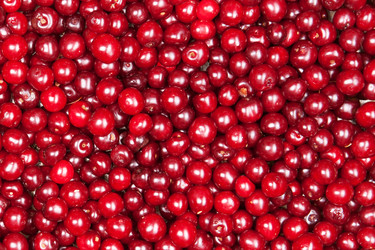 Similar image 7972555