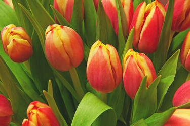 Similar image 7972562