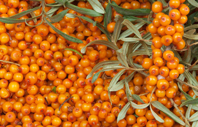 Similar image 7972564