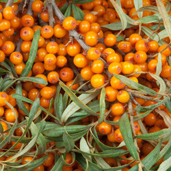 Similar image 7972566