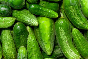 Similar image 7972567