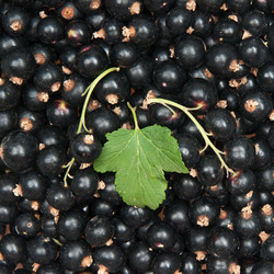 Similar image 7972573