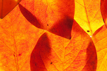 Similar image 7972580