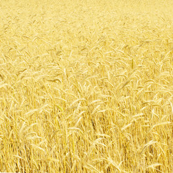 Similar image 7972599