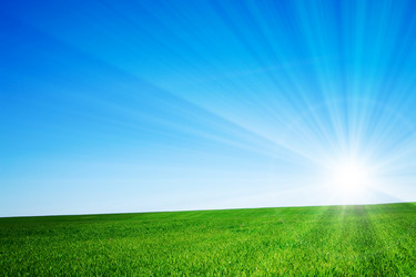 Similar image 7972601