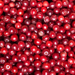 Similar image 7972602