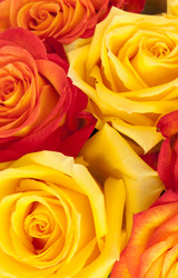 Similar image 7972603