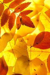 Similar image 7972604