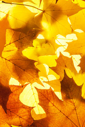 Similar image 7972605