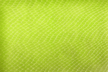 Similar image 7972612