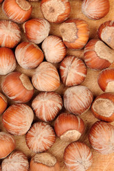 Similar image 7972613