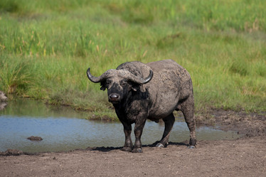 Similar image 7972782