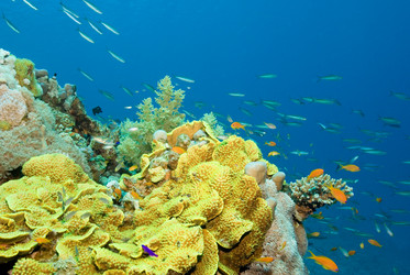 Similar image 7972792