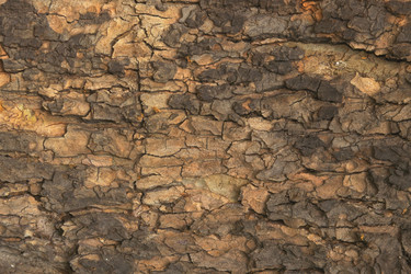 Similar image 7972801