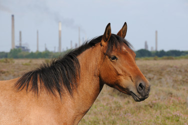 Similar image 7972802