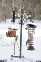 Similar image 7972803