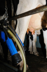 Similar image 7972804