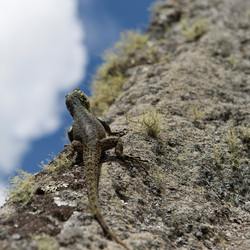 Similar image 7972805