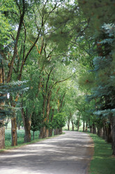 Similar image 7972819