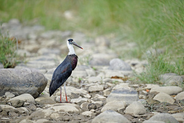 Similar image 7972825