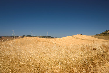 Similar image 7972829