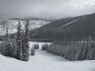 Similar image 7972838