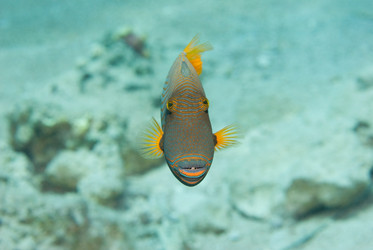 Similar image 7972844