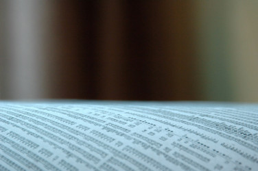 Similar image 7972849