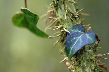 Similar image 7972857