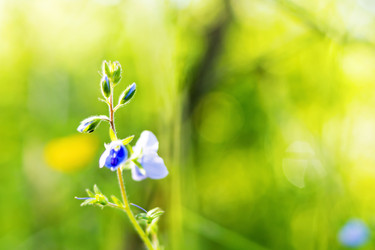 Similar image 7972877