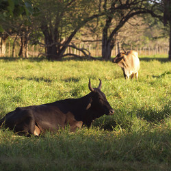 Similar image 7972918