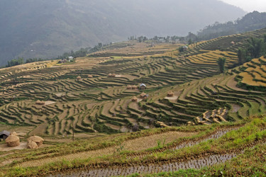 Similar image 7972924