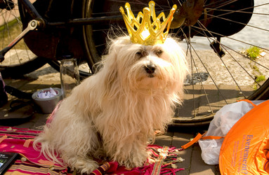 Similar image 7972926