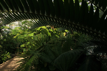 Similar image 7972931