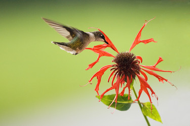 Similar image 7972932