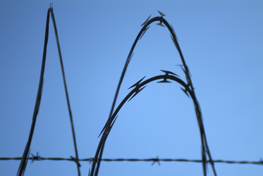 Similar image 7972935